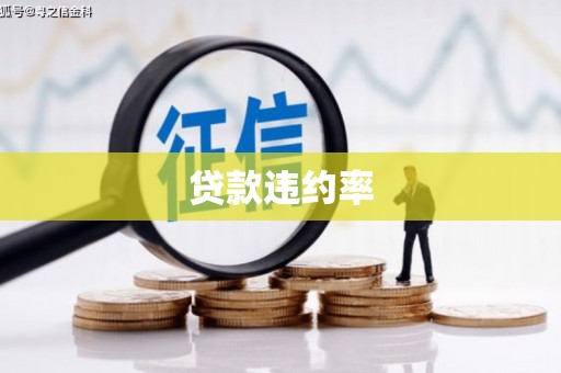 盐水贷款违约率