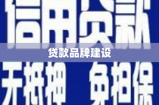 盐水贷款品牌建设
