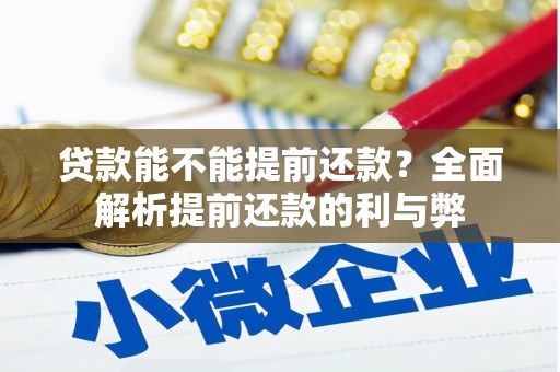 盐水贷款能不能提前还款？全面解析提前还款的利与弊