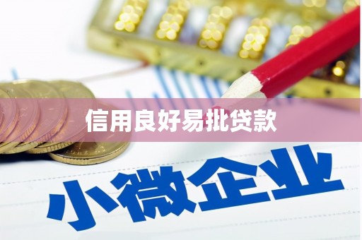 盐水信用良好易批贷款