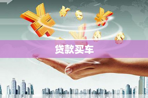 盐水贷款买车