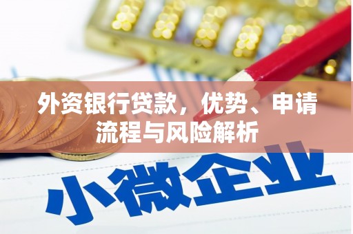 盐水外资银行贷款，优势、申请流程与风险解析