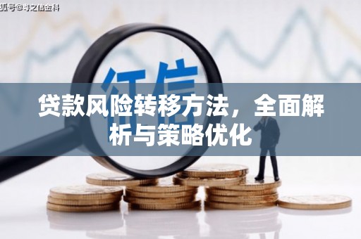 盐水贷款风险转移方法，全面解析与策略优化