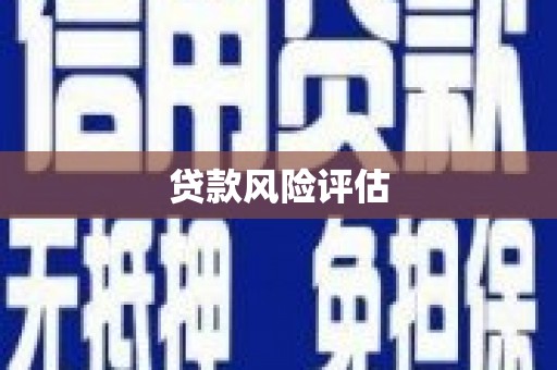 盐水贷款风险评估
