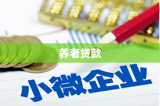 盐水养老贷款