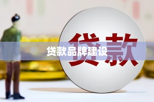 盐水贷款品牌建设