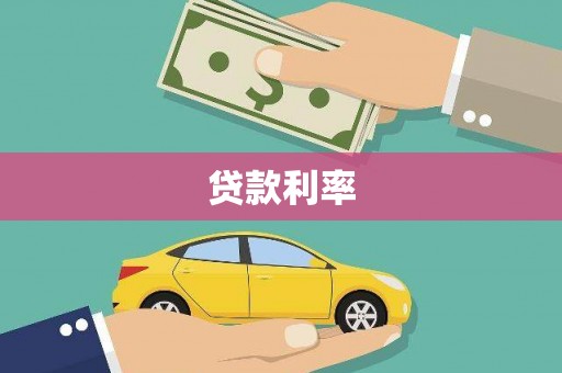 盐水贷款利率