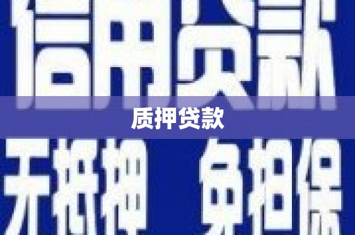 盐水质押贷款