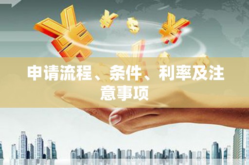 盐水申请流程、条件、利率及注意事项