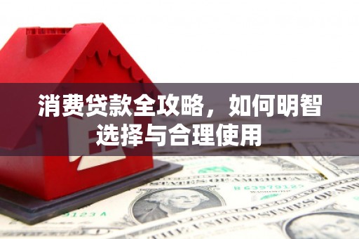 盐水消费贷款全攻略，如何明智选择与合理使用