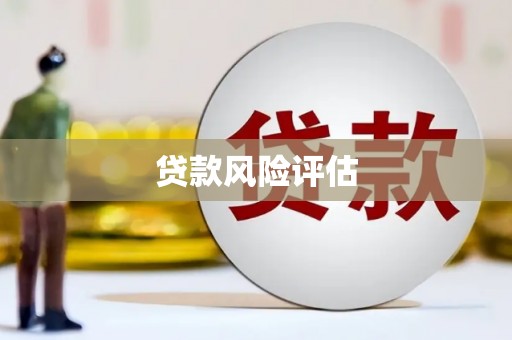 盐水贷款风险评估