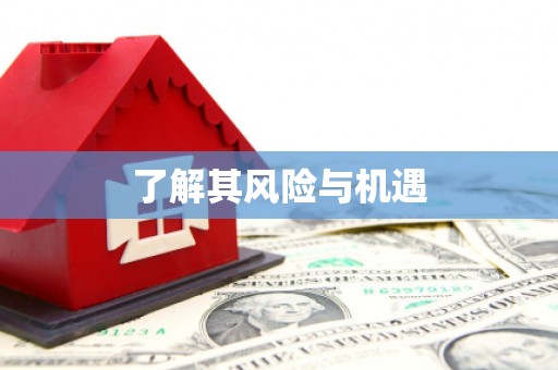 盐水了解其风险与机遇