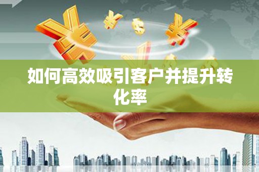 盐水如何高效吸引客户并提升转化率
