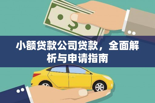盐水小额贷款公司贷款，全面解析与申请指南