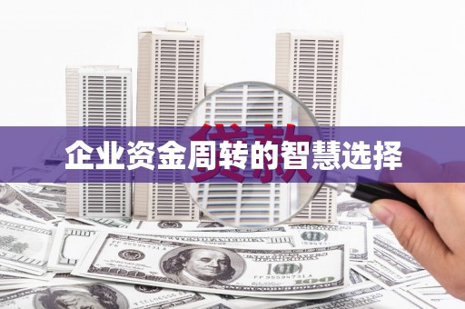 盐水企业资金周转的智慧选择