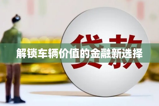 盐水解锁车辆价值的金融新选择