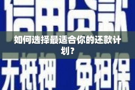 盐水如何选择最适合你的还款计划？