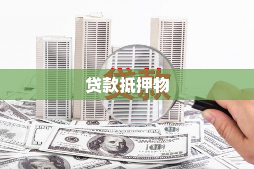 盐水贷款抵押物