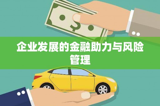 盐水企业发展的金融助力与风险管理