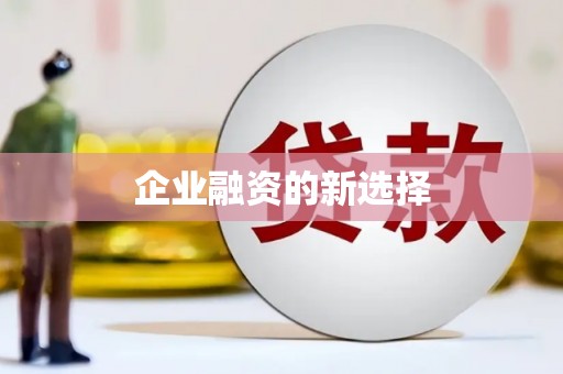 盐水企业融资的新选择