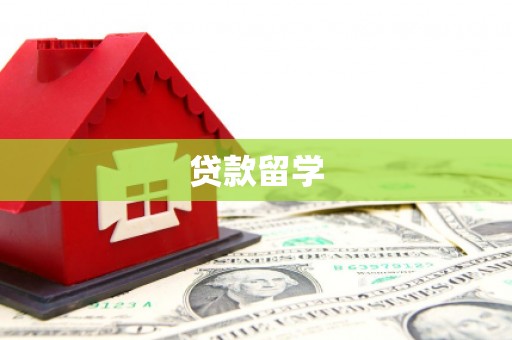 盐水贷款留学