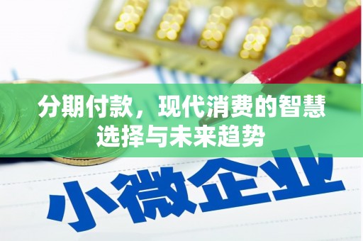 盐水分期付款，现代消费的智慧选择与未来趋势