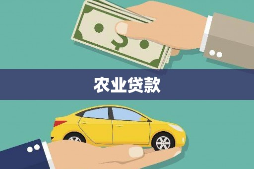 盐水农业贷款