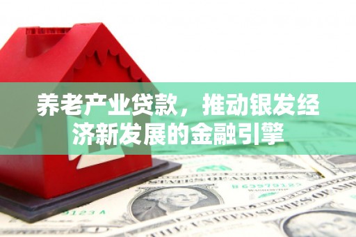 盐水养老产业贷款，推动银发经济新发展的金融引擎