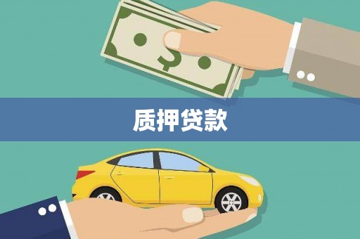 盐水质押贷款