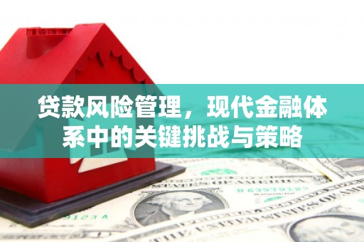 盐水贷款风险管理，现代金融体系中的关键挑战与策略