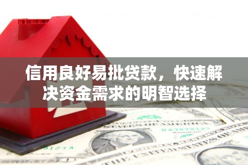盐水信用良好易批贷款，快速解决资金需求的明智选择