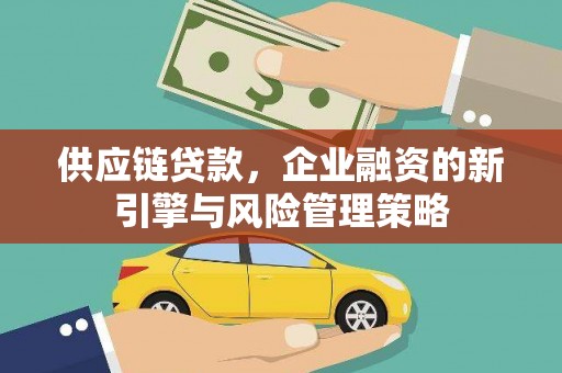 盐水供应链贷款，企业融资的新引擎与风险管理策略