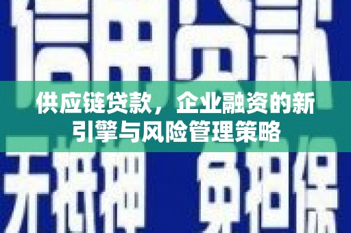 盐水供应链贷款，企业融资的新引擎与风险管理策略