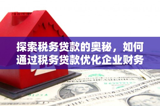 盐水探索税务贷款的奥秘，如何通过税务贷款优化企业财务