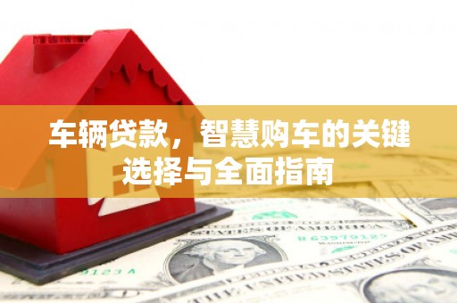 盐水车辆贷款，智慧购车的关键选择与全面指南