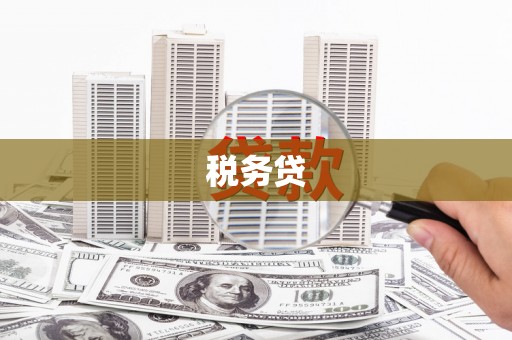 盐水税务贷