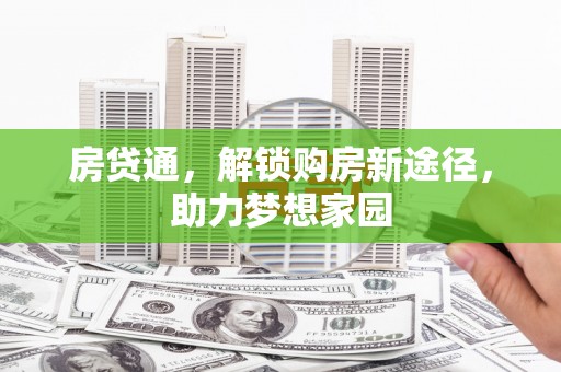 盐水房贷通，解锁购房新途径，助力梦想家园