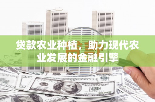 盐水贷款农业种植，助力现代农业发展的金融引擎