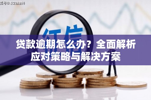 盐水贷款逾期怎么办？全面解析应对策略与解决方案