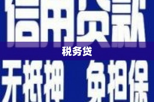 盐水税务贷