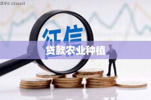 盐水贷款农业种植