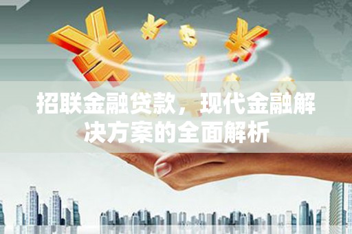 盐水招联金融贷款，现代金融解决方案的全面解析