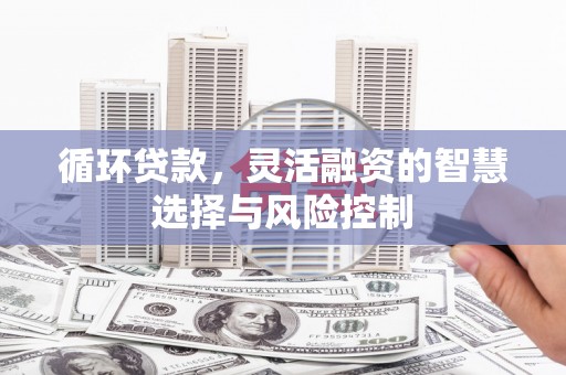盐水循环贷款，灵活融资的智慧选择与风险控制