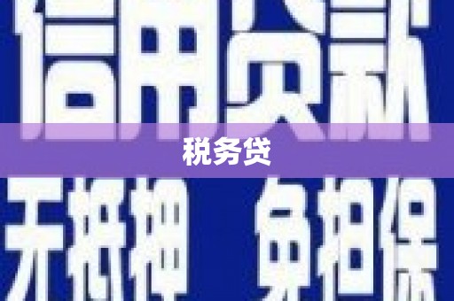 盐水税务贷