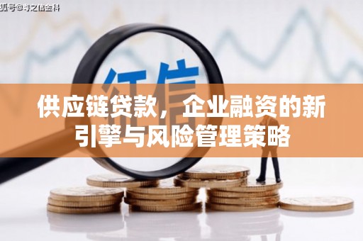 盐水供应链贷款，企业融资的新引擎与风险管理策略
