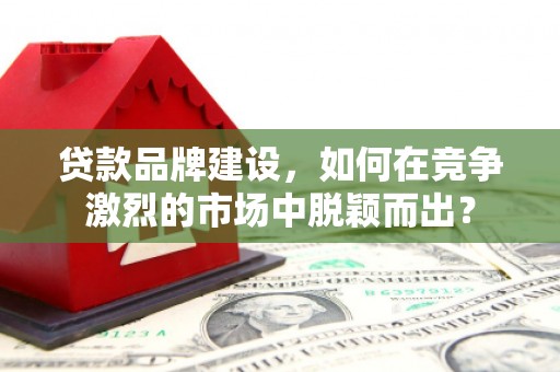 盐水贷款品牌建设，如何在竞争激烈的市场中脱颖而出？
