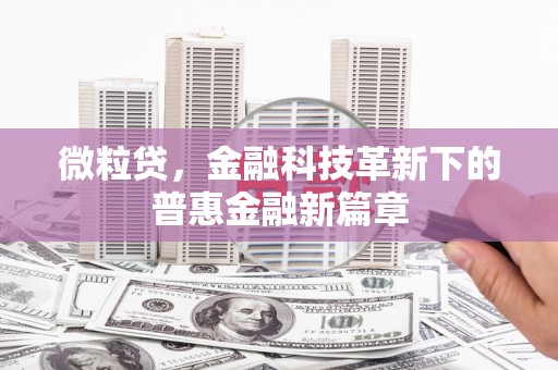盐水微粒贷，金融科技革新下的普惠金融新篇章