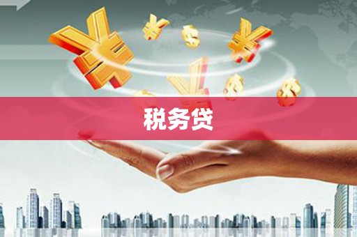 盐水税务贷