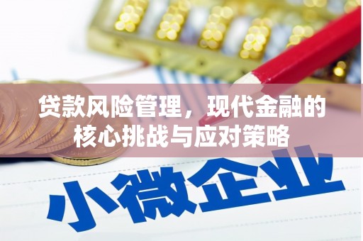 盐水贷款风险管理，现代金融的核心挑战与应对策略