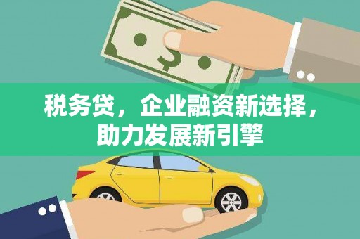 盐水税务贷，企业融资新选择，助力发展新引擎
